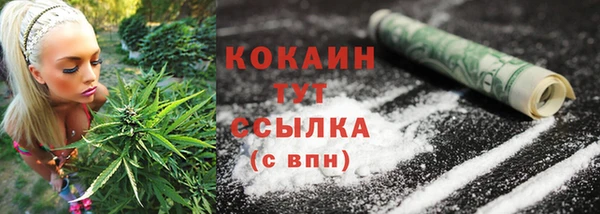 МДПВ Абаза