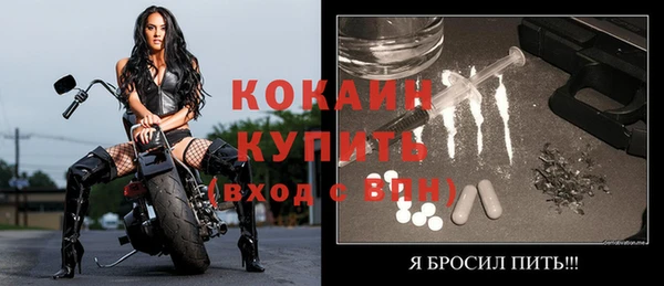 МДПВ Абаза