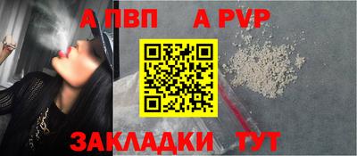стаф Лесосибирск