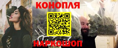 стаф Лесосибирск