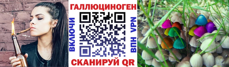 Псилоцибиновые грибы мицелий  MEGA tor  Чебаркуль  наркота 