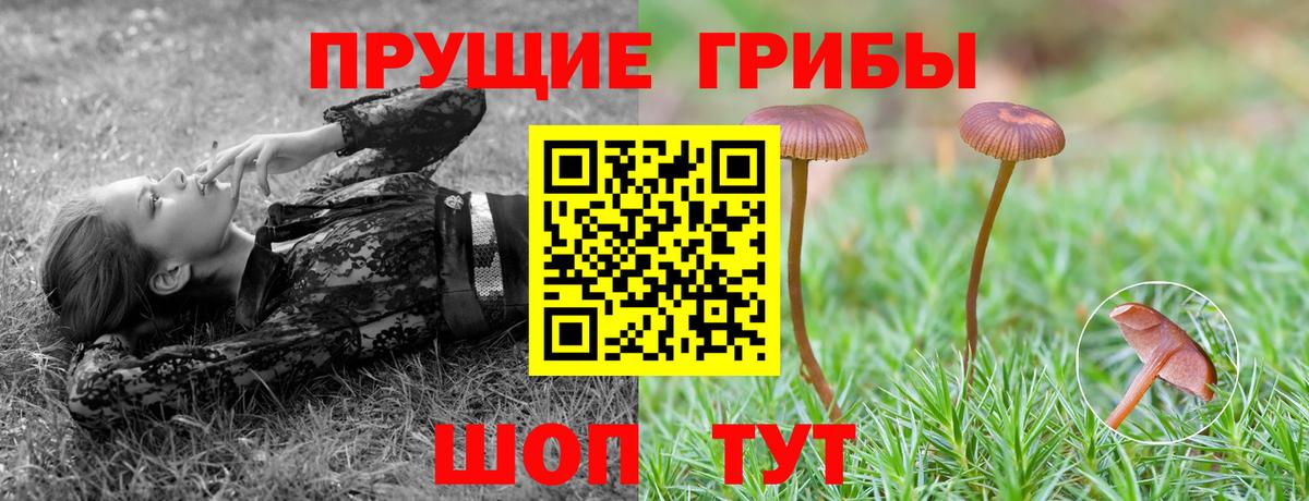 Чебаркуль  Галлюциногенные грибы Cubensis  Галлюциногенные грибы Psilocybine cubensis  Вход с VPN 